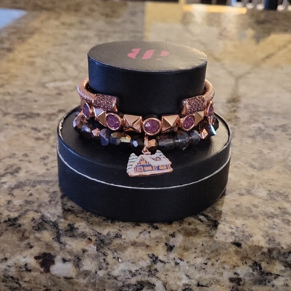 Bomb Party-Elegant Purple and Gold Bracelet Set